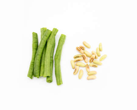 fresh green yardlong bean with seeds pieces isolated on white background