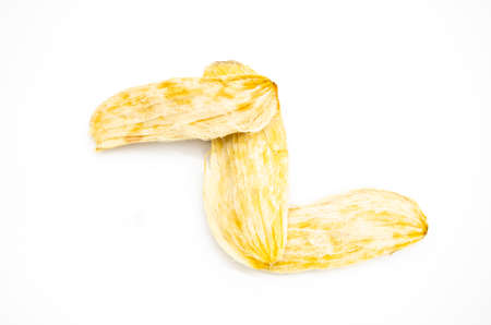 close up, mango seeds isloate on white backgroundの写真素材