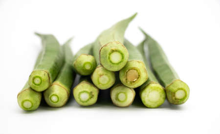 group of okra isolated on the white background,close-upの写真素材