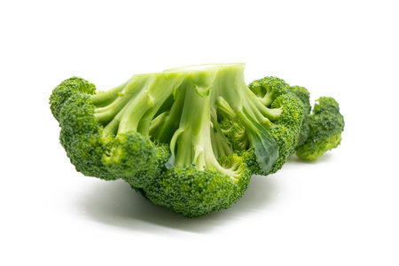 Broccoli isolated on white background,の写真素材