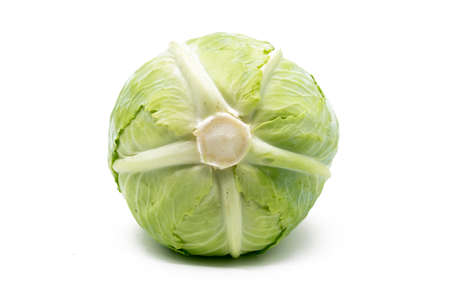 Green cabbage isolated on white background.の写真素材