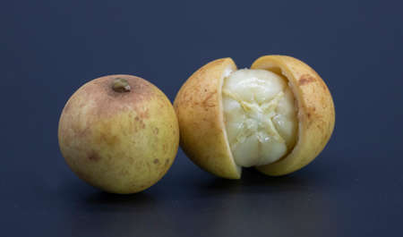 Baccaurea motleyana is a species of fruit tree which grows wild in parts of Southeast Asia.の写真素材