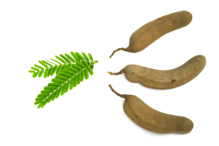 Fresh ripe tamarind with leaves isolated on a white background.top viewの写真素材