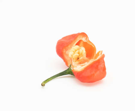 super hot Naga chili slice on white background.selective focus