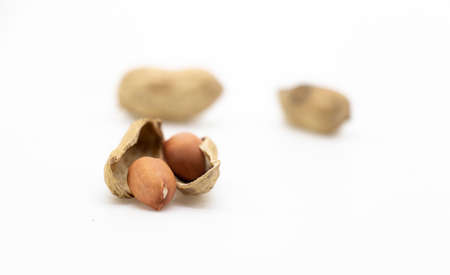 Dried peanuts in closeup isolated on white backgroundの写真素材