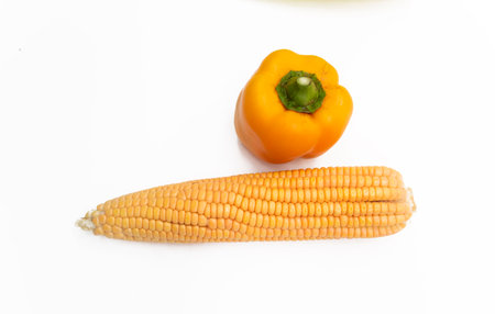 yellow corn or Corncob or maize on white background.Top Viewの写真素材