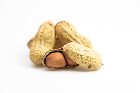 Dried peanuts in closeup isolated on white backgroundの写真素材