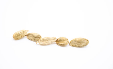 Top view close up photo image of group of cardamom isolate on white background,selective focusの写真素材