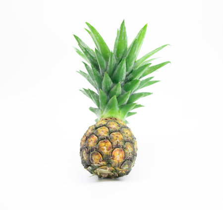 whole pineapple with leaves isolated on white background, Flat lay.の写真素材