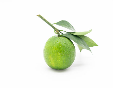 Green tangerines or Mandarin with leaves isolate on white background.の写真素材