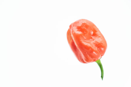 single green hot chili peppers or naga chili isolate on white backgroundの写真素材