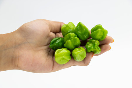 chili pepper or the Naga Morich or naga chili in hand isolate on whiteの写真素材