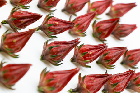 group of Roselle fruits isolated on white background.の写真素材