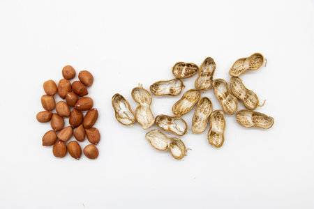 Unpeeled and peeled peanuts isolated on white background. Top viewの写真素材