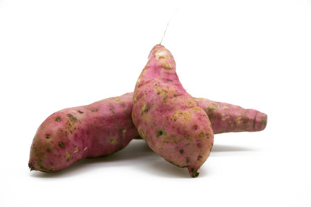 Sweet potato on the white background.の写真素材