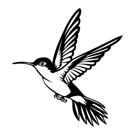 Hummingbird isolated on white background. Vector illustration in black and white colors.のイラスト素材