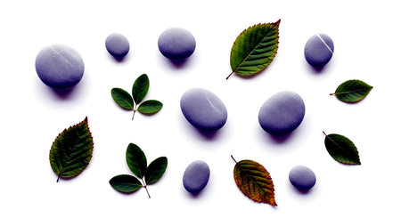 Set of pebbles with green leaves isolated on white background.の素材