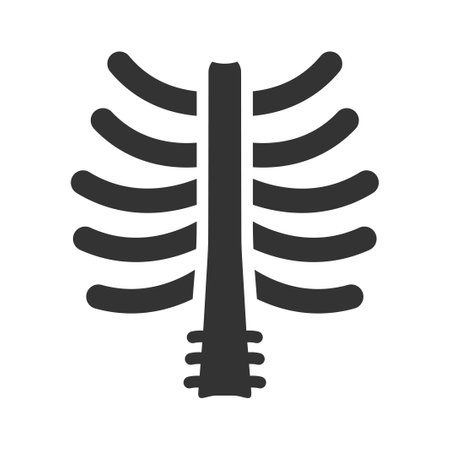 Chest Bone iconのイラスト素材