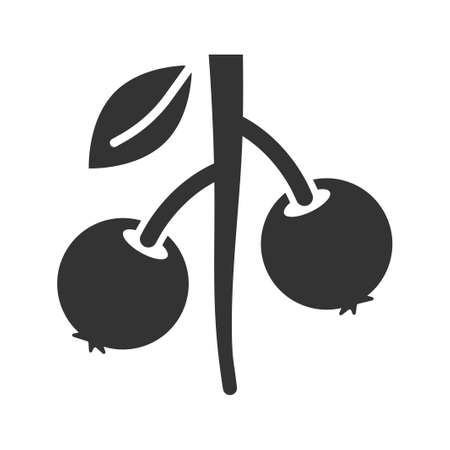 Berry fruit iconのイラスト素材