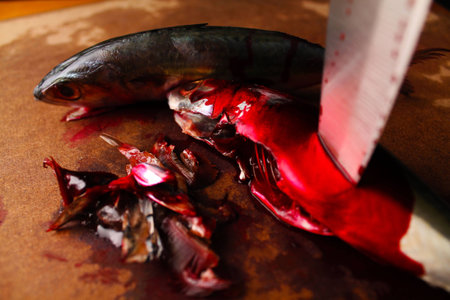 Death Of Fishの写真素材