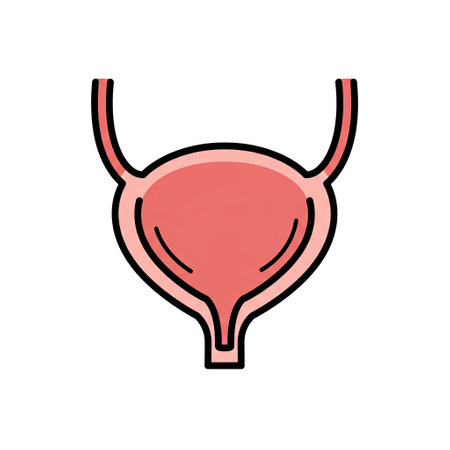 Human uterus icon. Vector illustration in flat style on white background.