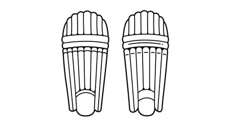 Cricket bats icon. Outline illustration of cricket bats icon for web design isolated on white backgroundのイラスト素材