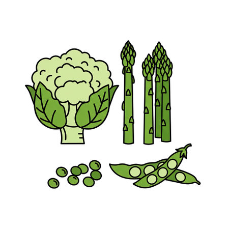 Vegetables icon. Vector illustration of asparagus, broccoli, peas.のイラスト素材
