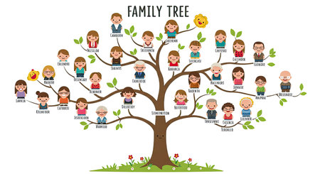 Family tree. Family tree icon. Vector illustration isolated on white backgroundのイラスト素材