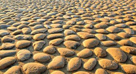 Cobblestone pavement in the evening, closeup of photo