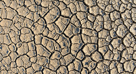 Dry cracked earth background. Global warming and climate change concept.