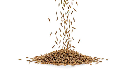 Pile of cumin seeds falling on white background. Healthy foodの写真素材