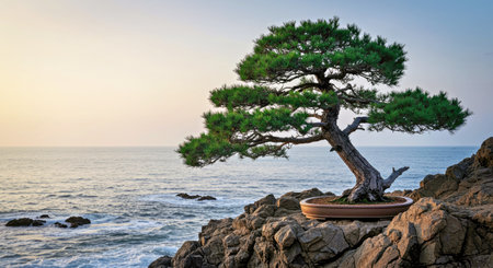 Pine tree in pot on the rock with sea and sky background