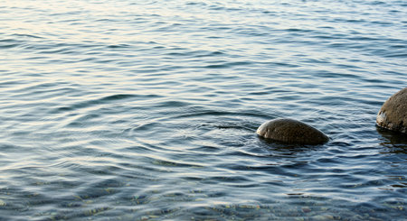 Soft Textured Background Gentle Ocean Ripples Flowing Around Smooth Coastal Rocks Water Surface Textureの写真素材
