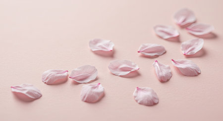 Delicate cherry blossom petals are scattered across a pale pink surface. The soft colors and gentle arrangement create a serene and beautiful floral image, perfect for themes related to spring, romance, or nature.の写真素材