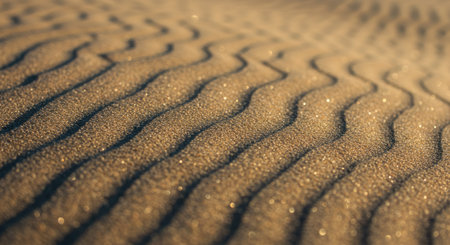 An ultra close-up perspective of wind-swept sand dunes. Rippling shadows and delicate golden light play across the textured surface, highlighting the natural patterns created by the wind.の写真素材