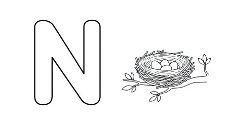 An engaging educational illustration featuring the letter N paired with a clear nest image. This coloring page is designed to make learning the alphabet enjoyable for children. Helps reinforce letter sounds and object names.のイラスト素材