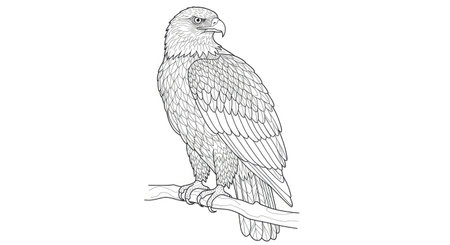 Detailed Majestic Eagle Illustration Adult Relaxation Coloring Page Artのイラスト素材