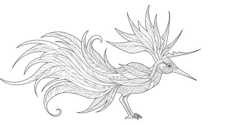 Tropical Bird of Paradise Detailed Line Art Adult Coloring Templateのイラスト素材