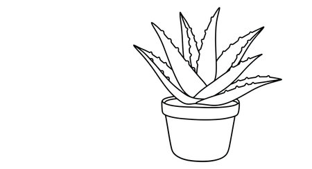 Aloe vera plant in pot icon in black and white vector illustration graphic designのイラスト素材