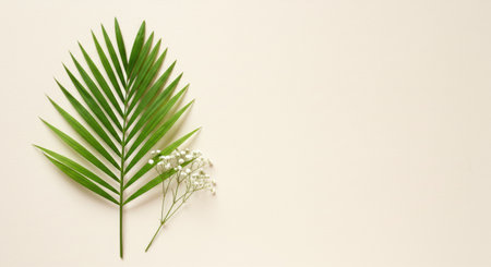 Minimal Composition with Green Palm Leaf and White Flower on Light Backgroundの写真素材