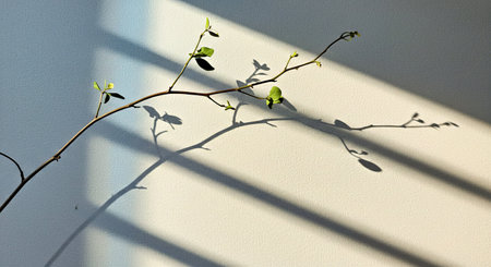 Aesthetic minimalist background watercolor light shadow branch