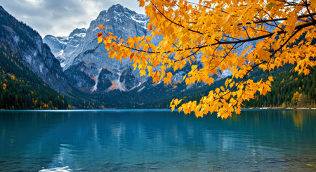 Close Up of Yellow Autumn Leaves on a Branch with a Blurred Blue Lake and Mountain Backgroundの写真素材