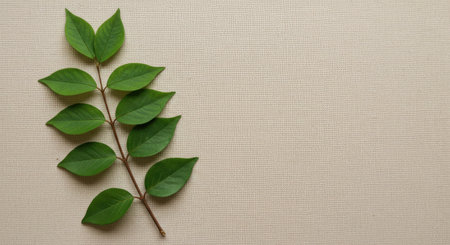 Green Branch with Leaves on Beige Linen Fabric Top Viewの写真素材