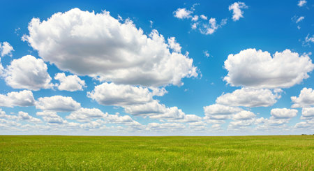 Panoramic Green Meadow Under Bright Blue Sky with Fluffy White Summer Clouds