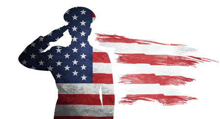 Patriotic Veterans Day Salute Silhouette Against Flag Background