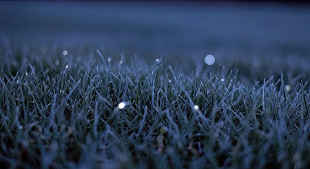 Moonlit Grass Texture Night Scene Blue Glow Reflections Ethereal Outdoor Backgroundの写真素材