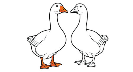 Asian Goose Coloring Page with Detailed Colored and Clear Outline Bird Illustrationのイラスト素材