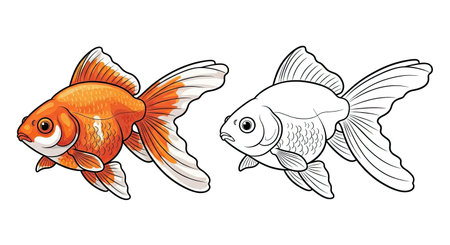Goldfish Coloring Page with Realistic Colored and Detailed Outline Fish Pair Illustrationのイラスト素材