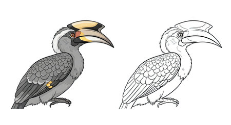 Indian Grey Hornbill Coloring Page with Realistic and Outline Birds for Ornithologyのイラスト素材