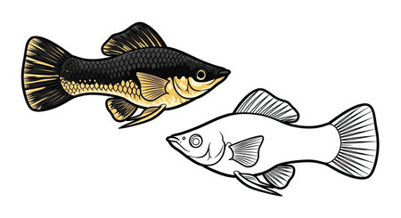 Molly Fish Coloring Page with Full Color and Outline Style for Aquatic Funのイラスト素材